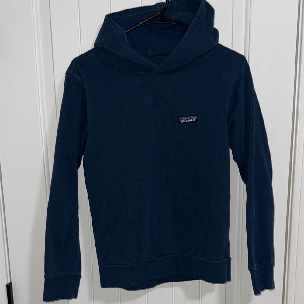 Patagonia Navy Pullover Hoodie